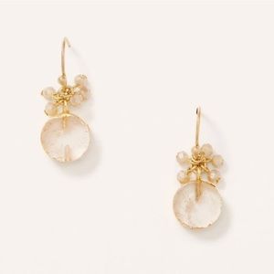 LOFT Circular Drop Gold Earrings